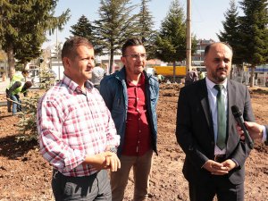 Özaltun, yeşil alan çalışmalarını inceledi