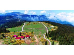 Giresun yaylasında kundaklama