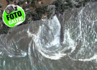 Doğa Allah’ı zikrediyor