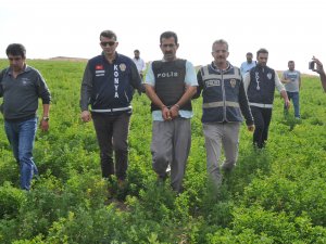 Katil zanlısı ağabey tutuklandı