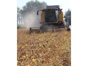 Iğdır’da ilk kez soya hasadı