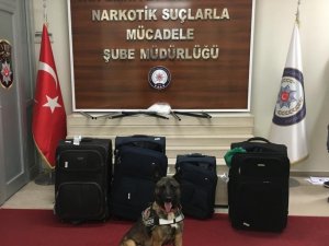 Hassas burun Bozo, uyuşturucu tacirlerine geçit vermedi
