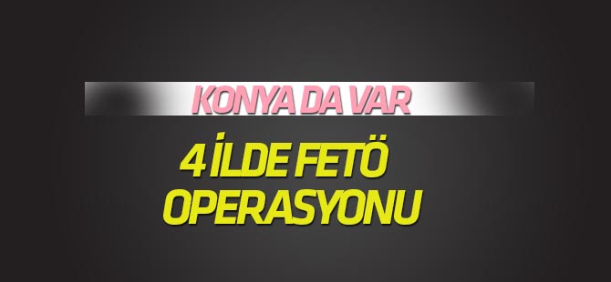 4 ilede FETÖ operasyonu
