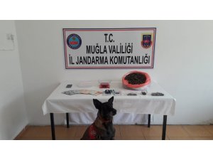 Milas’ta uyuşturucu operasyonu