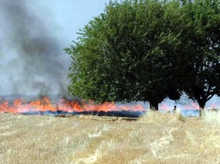Anız yangınları büyük zararlara yol açıyor