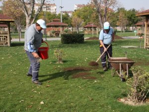 Karatay’da yeşil alanlar kışa hazırlanıyor