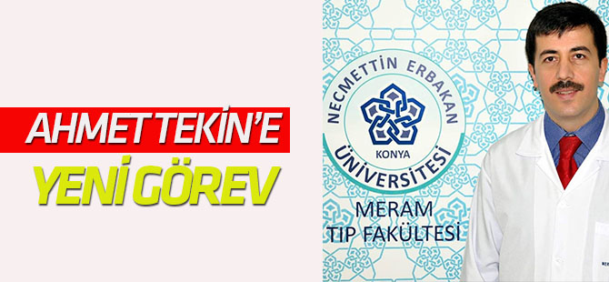 Ahmet Tekin'e yeni görev