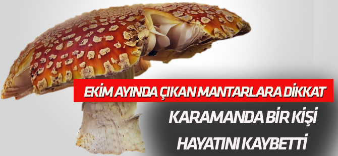 Karaman'da mantar zehirlenmesi can aldı