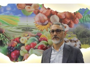 Fındık fiyatı 12.5 liraya geriledi