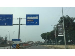 Yalova’da Kaşıkçı alarmı
