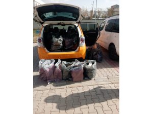 Van’da ilaç kaçakçılığı