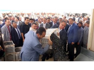 ABD’ye organik zeytin yağı Kilis’ten gidecek