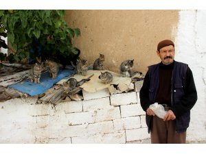 Hurda toplayıp hem ailesine hem de sokak kedilerine bakıyor
