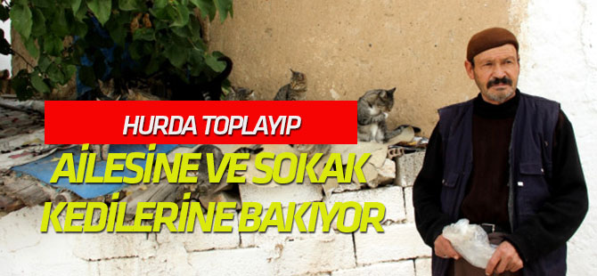 Hurda Toplayıp Hem Ailesine Hem de Sokak Kedilerine Bakıyor