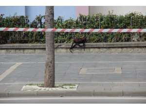 Okul çantası bomba paniğine neden oldu