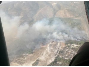 Hatay’da orman yangını