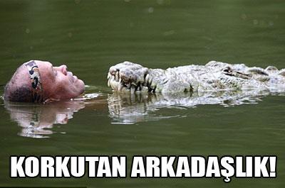 Korkutan arkadaşlık!