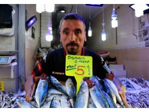 Samsun’da palamut 5 lira