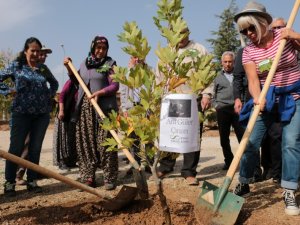 Sanatçı köyünde Ara Güler için çınar ağacı