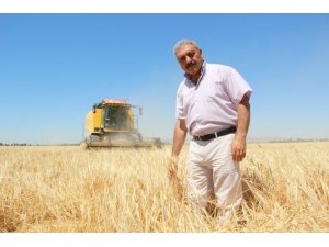 Ziraat Odası Başkanı Muğlu: “Kazanamayan çiftçi buğday ekimini bırakıyor”