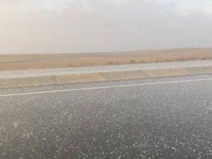 Ilgın'dan kısa kısa