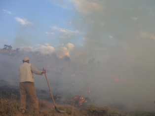 Yangın 80 hektar alanı kül etti