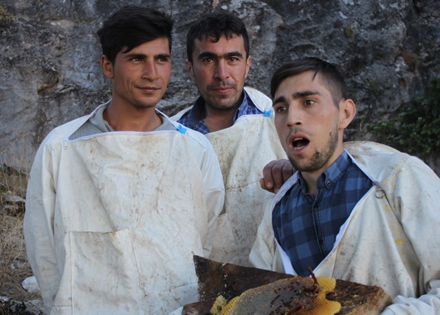 Yüzde yüz doğal bal