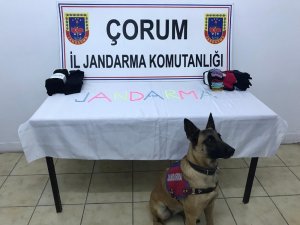 Jandarmadan zehir tacirine operasyon