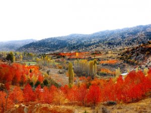 Toros Dağları’nda sonbahar