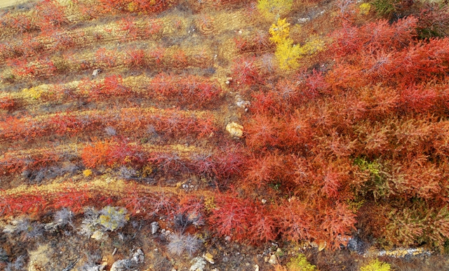 Toros Dağları’nda sonbahar