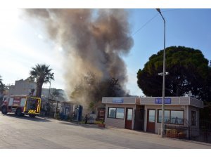 Didim’deki yangın korkulu anlar yaşattı