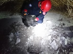 İtfaiye ekipleri, asfaltı kırıp sıkışan tavuğa kurtardı
