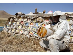 Arap ülkelerinin gözdesi: Karakovan balı