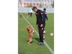 "Gençlerbirliği maçını mutlaka kazanmamız gerekiyor"