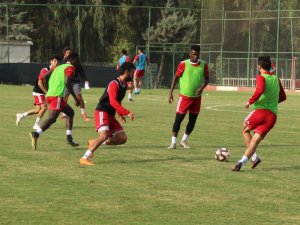 Hatayspor Teknik Direktörü Palut: “Oyundan memnunum ama skordan değil”