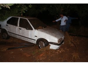 Sel 120 hayvanı telef etti