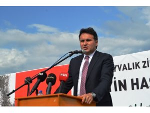 Anıt zeytin ağaçları tespit edilip koruma altına alınacak