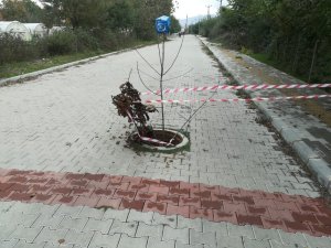 18 yaşındaki hırsız yakalandı