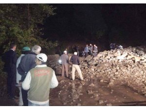 Sel sularına kapılan minibüs uçuruma yuvarlandı: 1 ölü