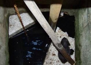 Kuyuya düşen kediyi, itfaiye kurtardı