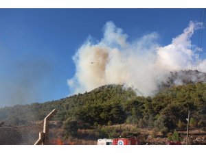 Kumluca’da eş zamanlı çıkan orman yangınları korkuttu