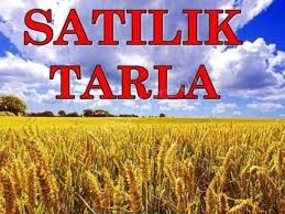 Konya'da satılık tarla