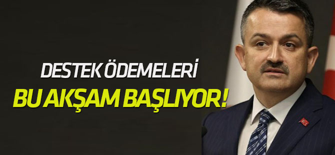 Destek ödemeleri bu akşam başlıyor!