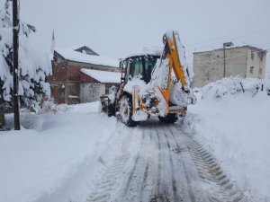 Karadeniz'de kar etkili oluyor