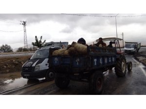 Gercüş’te genç çiftçilere küçükbaş hayvan dağıtıldı