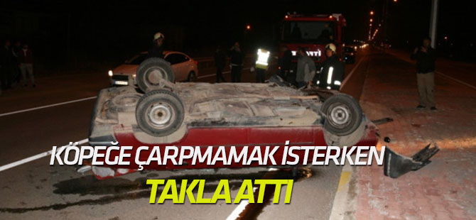 Köpeğe Çarpmamak İsterken Takla Attı