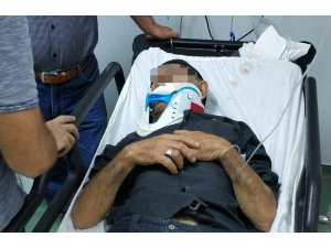 Kestiği ağaç üzerine düşen yaşlı adam ağır yaralandı