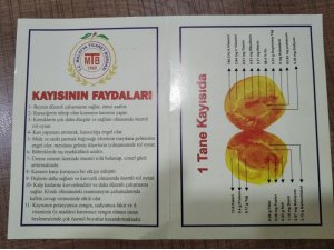 Galatasaray maçını takip eden gazetecilere ve protokole kayısı ikramı