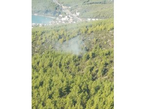 Milas’ta orman yangını kısa sürede söndürüldü