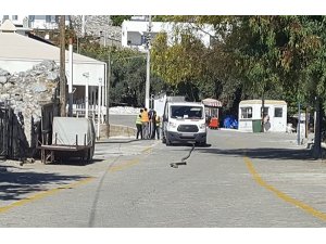 Kablo hırsızları zabıtanın dikkatiyle yakalandı